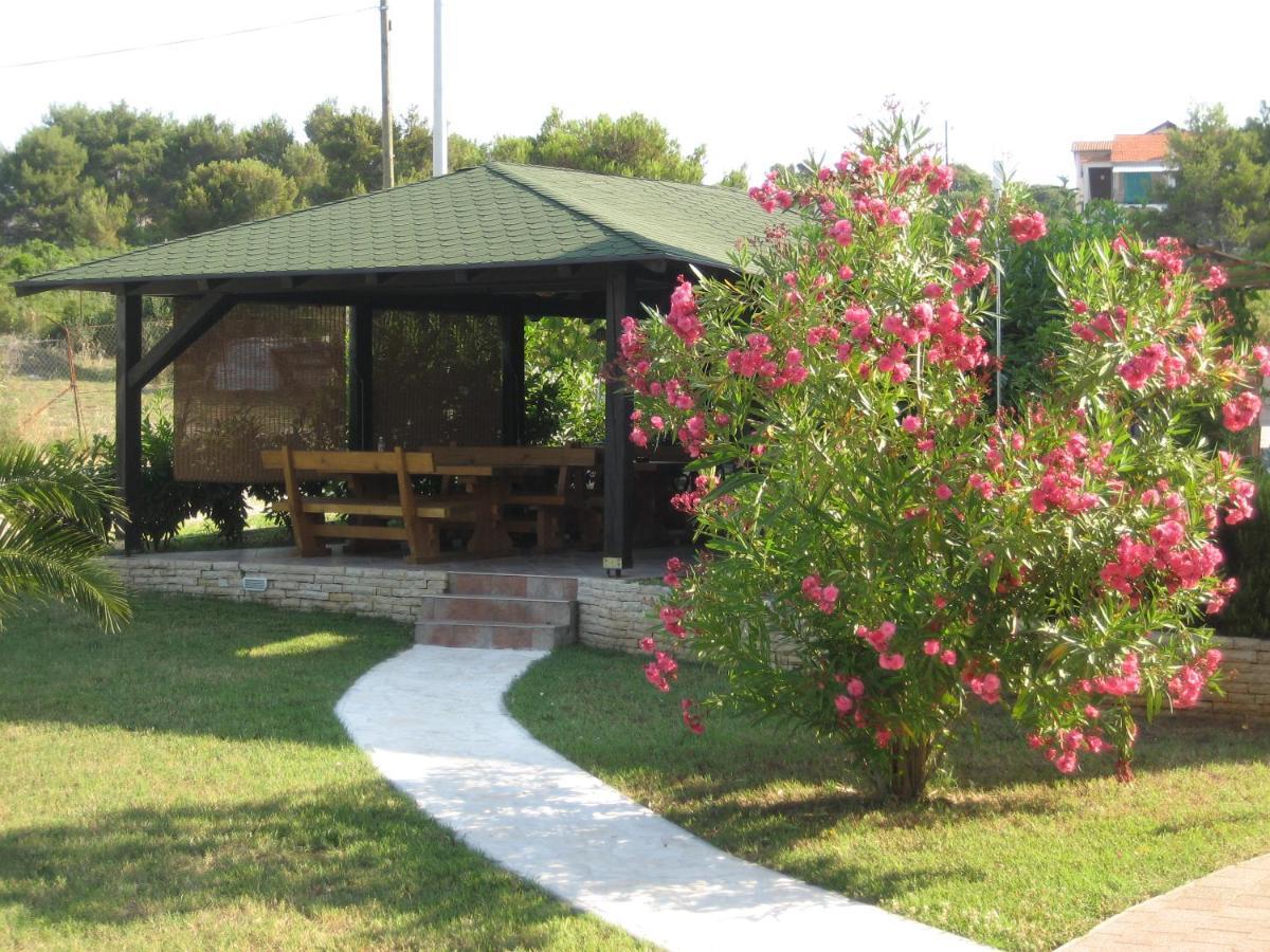 Villa „Drei Palmen“ Sveti Filip i Jakov Exterior photo