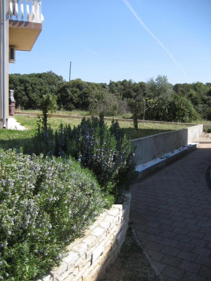 Villa „Drei Palmen“ Sveti Filip i Jakov Exterior photo