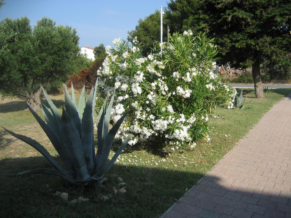 Villa „Drei Palmen“ Sveti Filip i Jakov Exterior photo